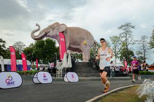 BIB: 
                            <button type="button" onclick="openModal(26528424)" class="btn btn-primary btn-sm float-right btn-popup" data-toggle="modal" data-target=".modal-high-quality">
                        <i class="fas fa-shopping-cart"></i> Add to Cart
                    </button>
                                            <button type="button" onclick="isThisMe(26528424, true)" class="btn btn-success btn-sm float-right btn-popup btn-isme hidden" data-toggle="tooltip" data-placement="bottom" title="นี่คือรูปของคุณใช่ไหม คลิกที่นี่เพื่อเอาเข้าอัลบั้ม">
                        <i class="fas fa-plus"></i> Add to album
                    </button>
                    <button type="button" onclick="isThisMe(26528424, false)" class="btn btn-warning btn-sm float-right btn-popup btn-isnotme hidden">
                        <i class="fas fa-ban"></i> Remove from album
                    </button>